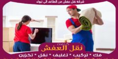 شركة نقل عفش من الطائف الى تبوك بخصم حتى 50%